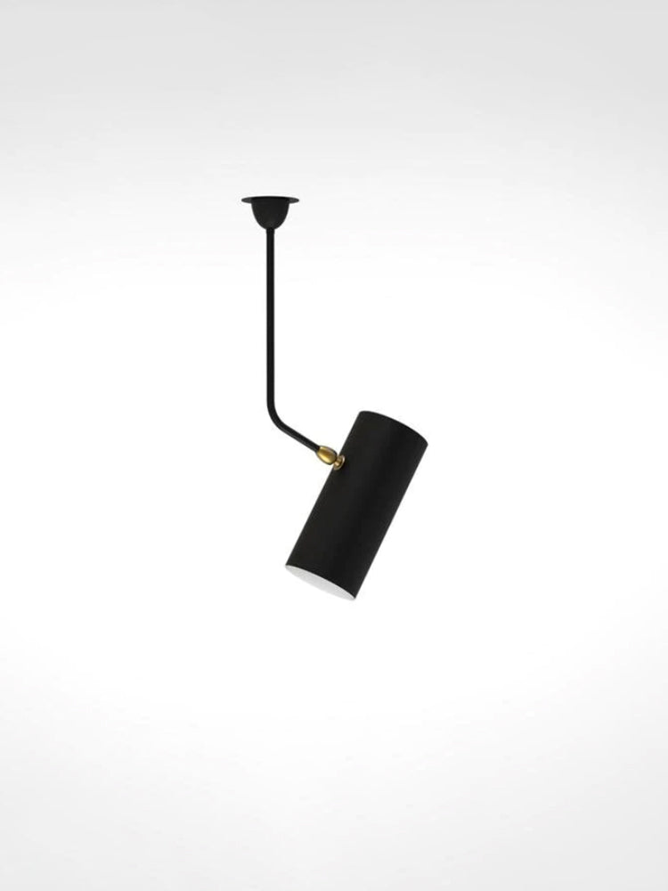 Ceiling lamp Tuyau Curved