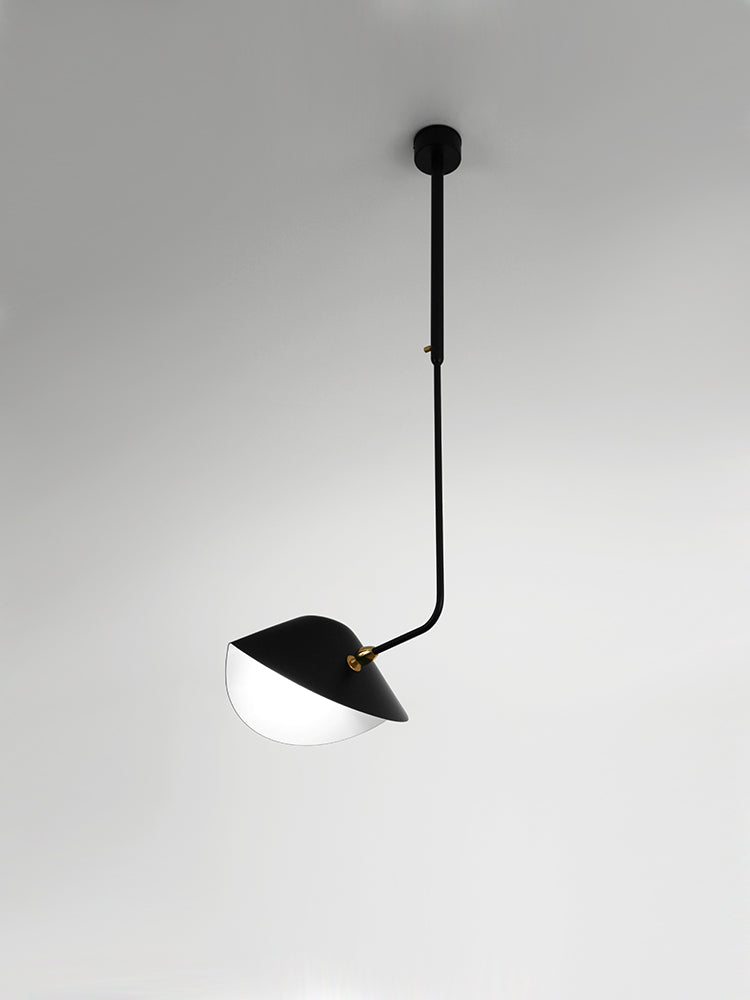 Ceiling lamp Curved