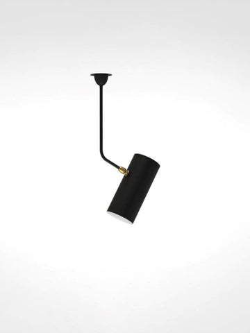 Ceiling lamp Tuyau Curved